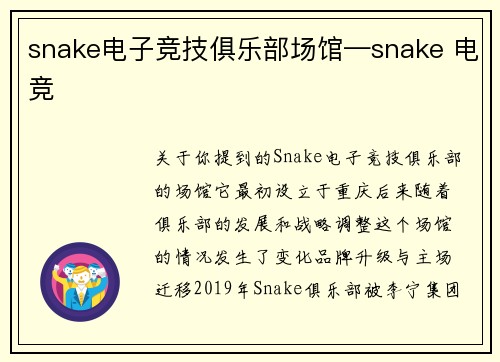 snake电子竞技俱乐部场馆—snake 电竞